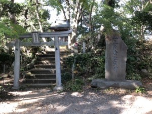 A8D845EB-E44C-44F3-951F-D6AE7F25B389